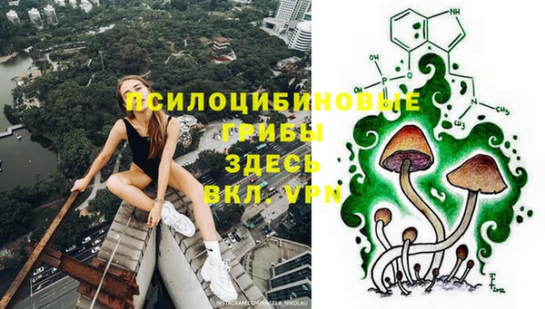 не бодяженный Магас