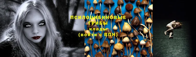 Псилоцибиновые грибы Cubensis  Донецк 