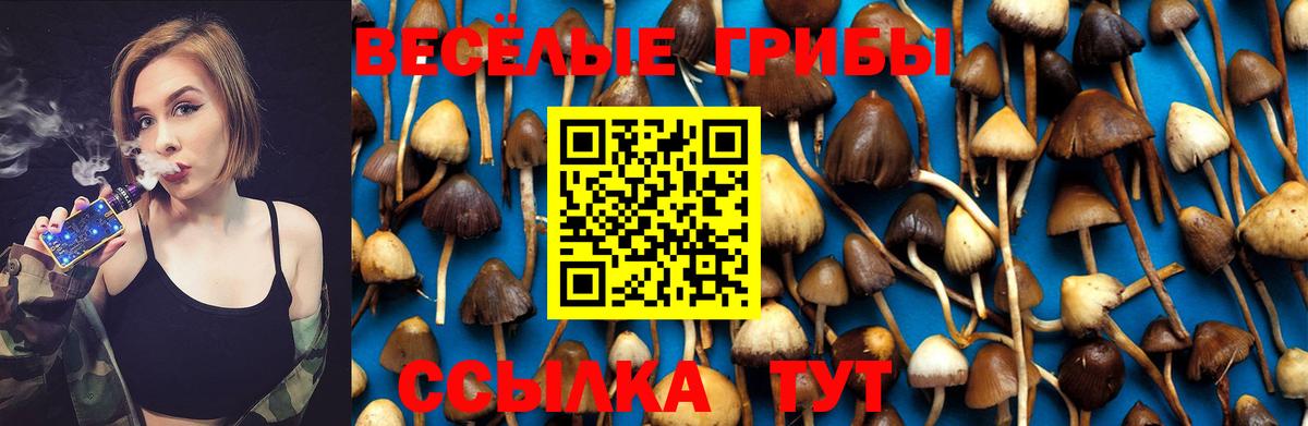 Галлюциногенные грибы Psilocybine cubensis Донецк