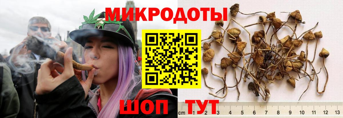 Галлюциногенные грибы Cubensis  Галлюциногенные грибы ЛСД  Вход с VPN  Донецк 